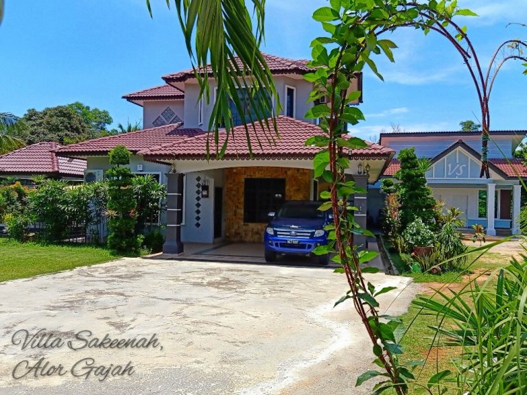 20210407 054036 982 768x576