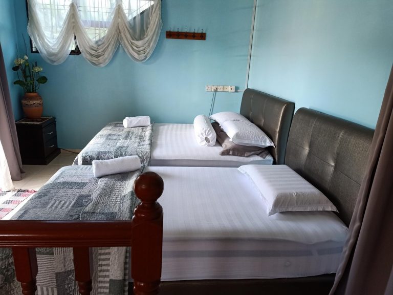 20210407 111922 528 768x576